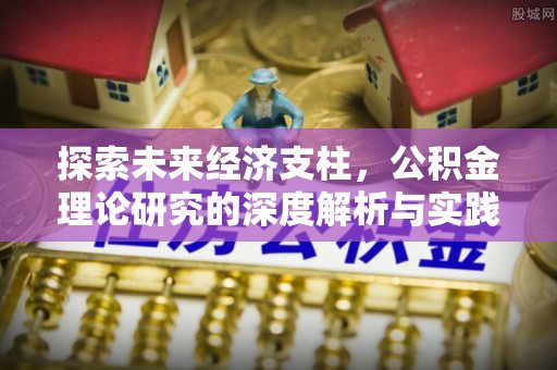 新野探索未来经济支柱，公积金理论研究的深度解析与实践意义