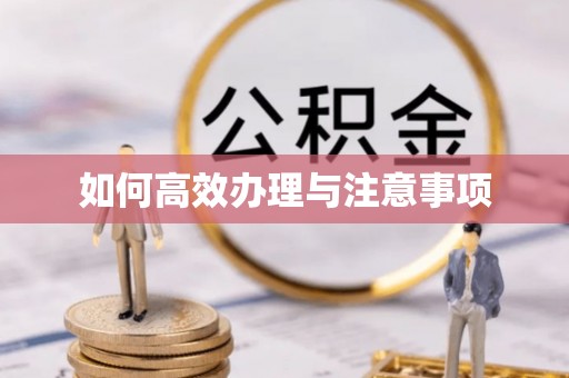 新野如何高效办理与注意事项