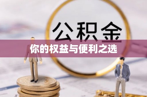 新野你的权益与便利之选