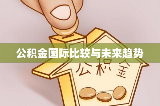 新野公积金国际比较与未来趋势