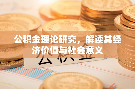 新野公积金理论研究，解读其经济价值与社会意义