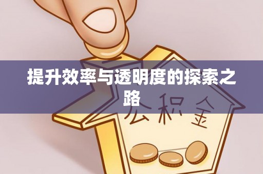 新野提升效率与透明度的探索之路
