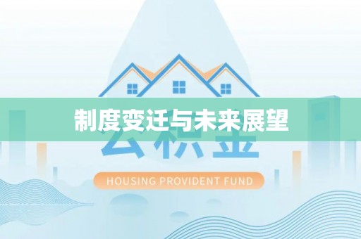 新野制度变迁与未来展望