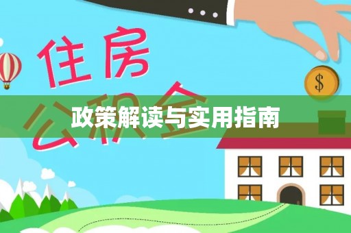 新野政策解读与实用指南