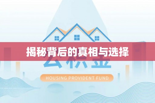 新野揭秘背后的真相与选择