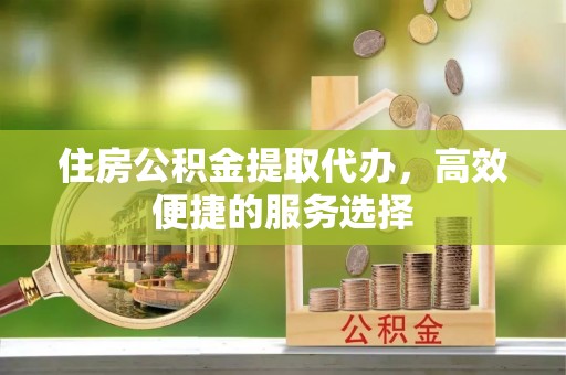 新野住房公积金提取代办，高效便捷的服务选择