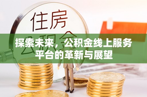 新野探索未来，公积金线上服务平台的革新与展望