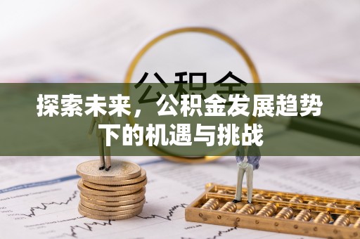新野探索未来，公积金发展趋势下的机遇与挑战