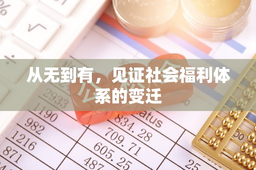 新野从无到有，见证社会福利体系的变迁
