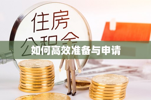 新野如何高效准备与申请