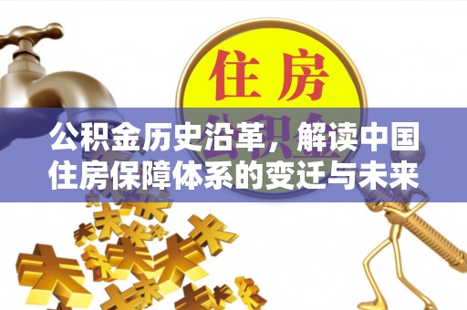 新野公积金历史沿革，解读中国住房保障体系的变迁与未来