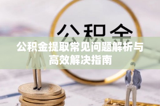 新野公积金提取常见问题解析与高效解决指南