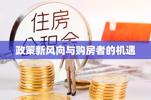 新野政策新风向与购房者的机遇