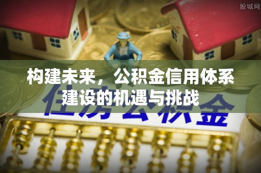 新野构建未来，公积金信用体系建设的机遇与挑战