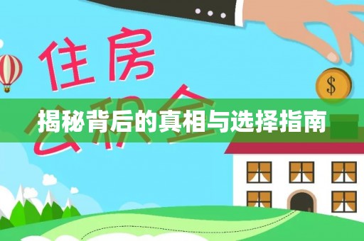 新野揭秘背后的真相与选择指南