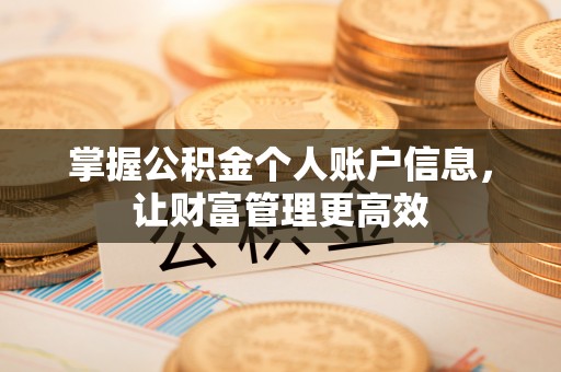 新野掌握公积金个人账户信息，让财富管理更高效