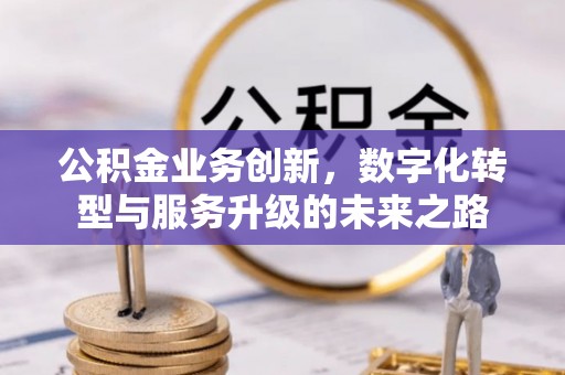 新野公积金业务创新，数字化转型与服务升级的未来之路