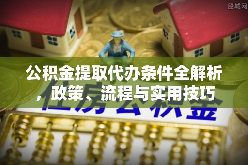 新野公积金提取代办条件全解析，政策、流程与实用技巧