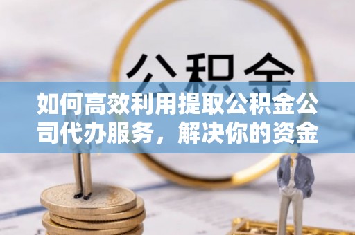 新野如何高效利用提取公积金公司代办服务，解决你的资金难题