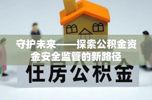 新野守护未来——探索公积金资金安全监管的新路径