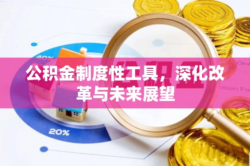 新野公积金制度性工具，深化改革与未来展望