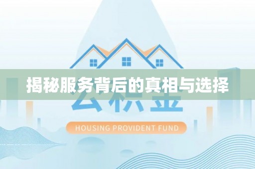 新野揭秘服务背后的真相与选择