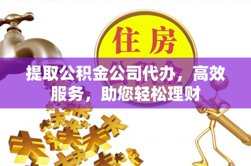 新野提取公积金公司代办，高效服务，助您轻松理财