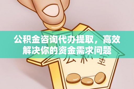 新野公积金咨询代办提取，高效解决你的资金需求问题