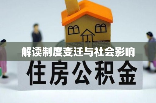新野解读制度变迁与社会影响