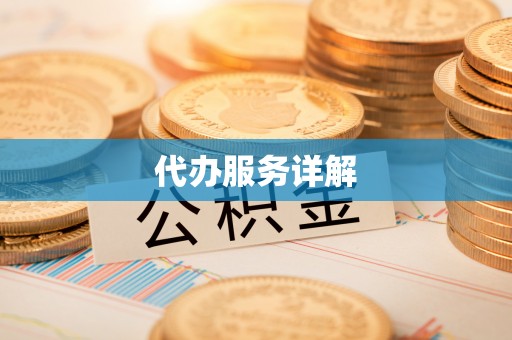 新野代办服务详解