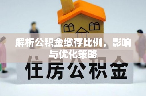 新野解析公积金缴存比例，影响与优化策略