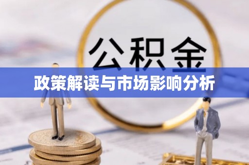 新野政策解读与市场影响分析