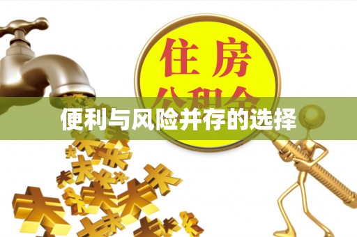 新野便利与风险并存的选择