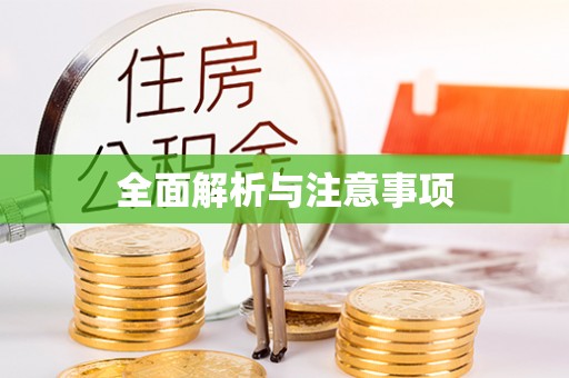 新野全面解析与注意事项